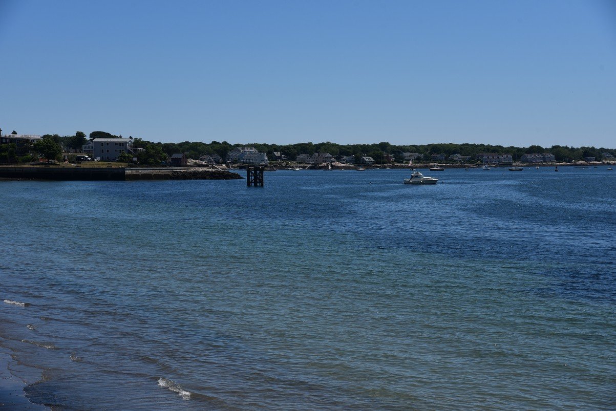 dsc_0250_fs.jpg
