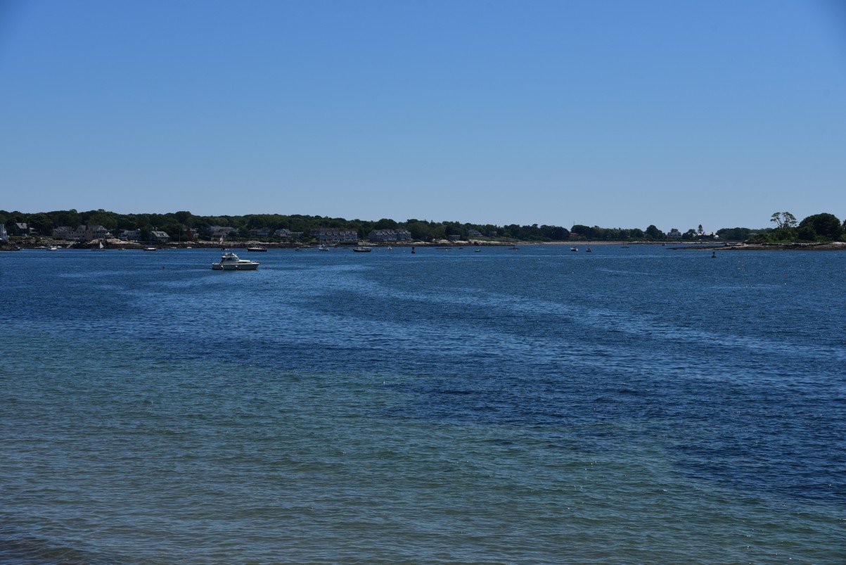 dsc_0251_fs.jpg