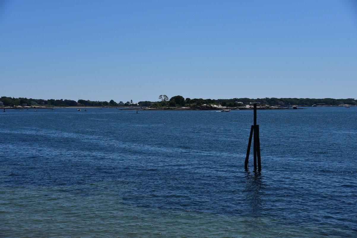 dsc_0252_fs.jpg