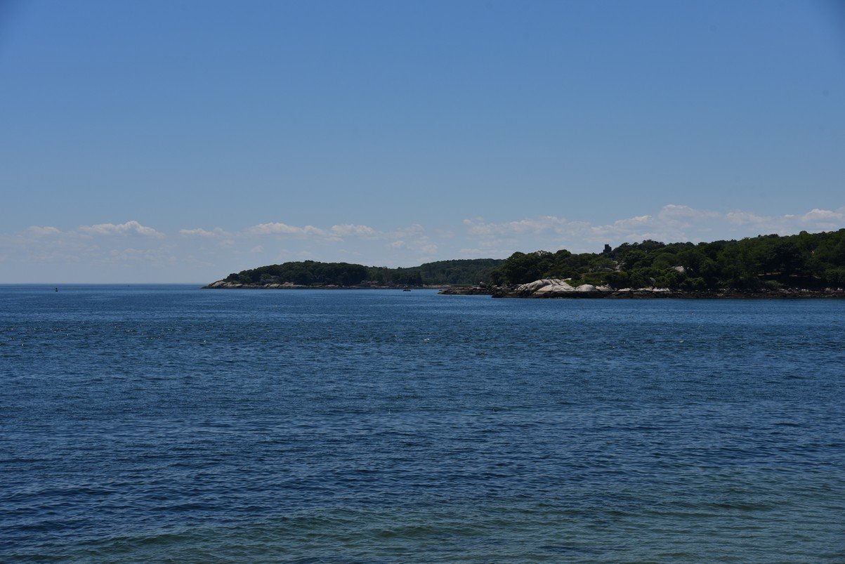 dsc_0256_fs.jpg