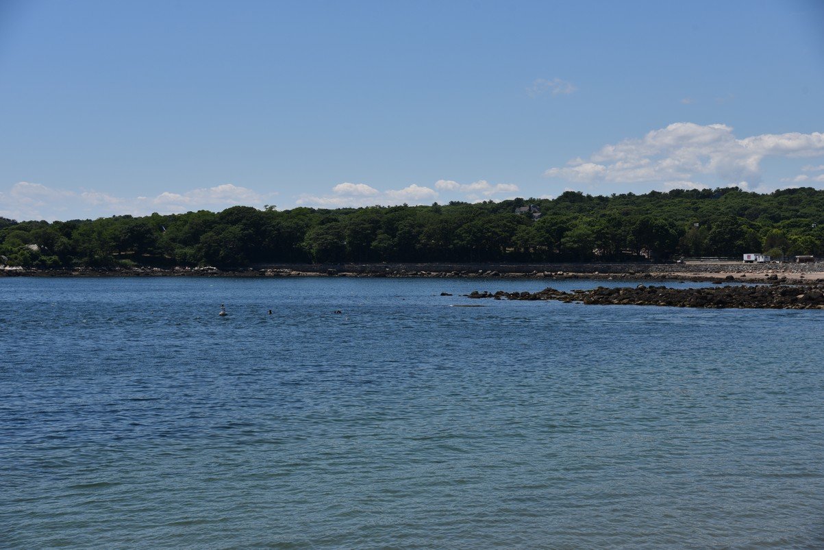 dsc_0258_fs.jpg