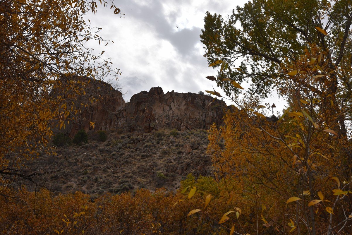 dsc_2399_fs.jpg