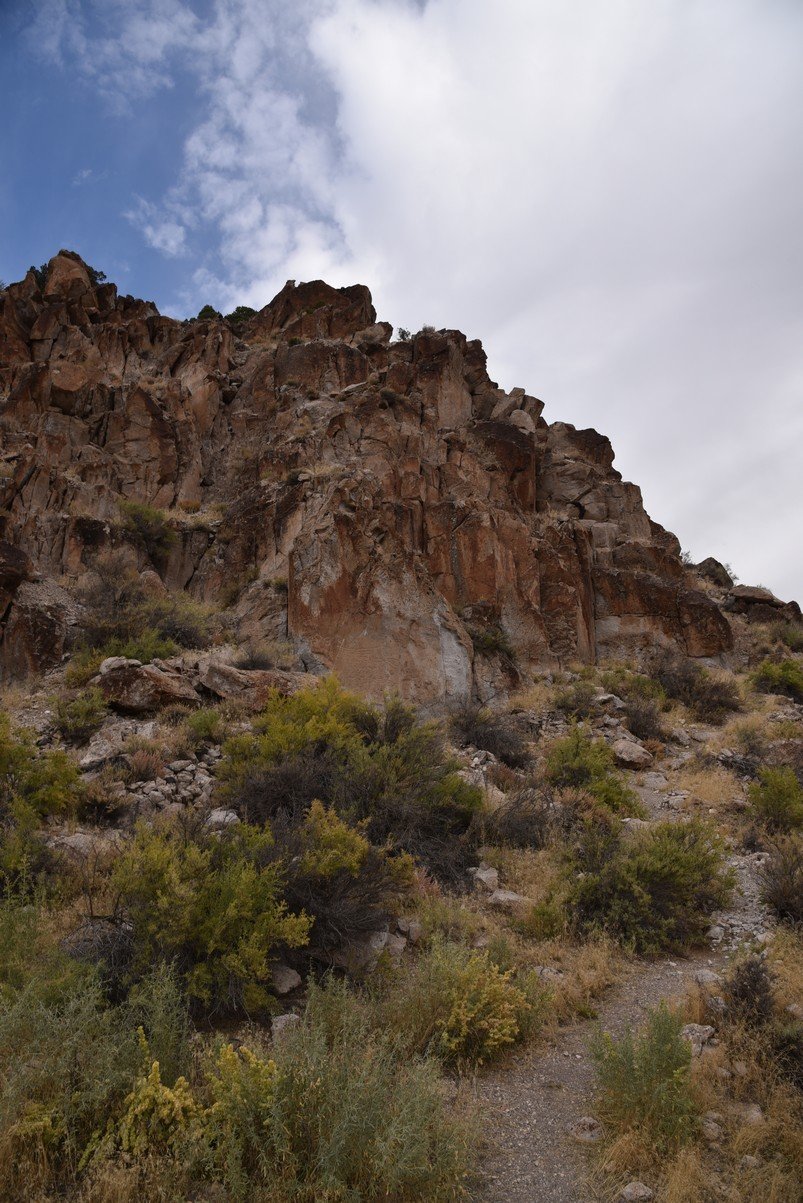 dsc_2422_fs.jpg