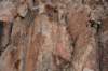dsc_2430_fs_small.jpg