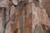 dsc_2442_fs_small.jpg