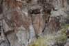 dsc_2443_fs_small.jpg
