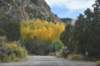 dsc_2478_fs_small.jpg