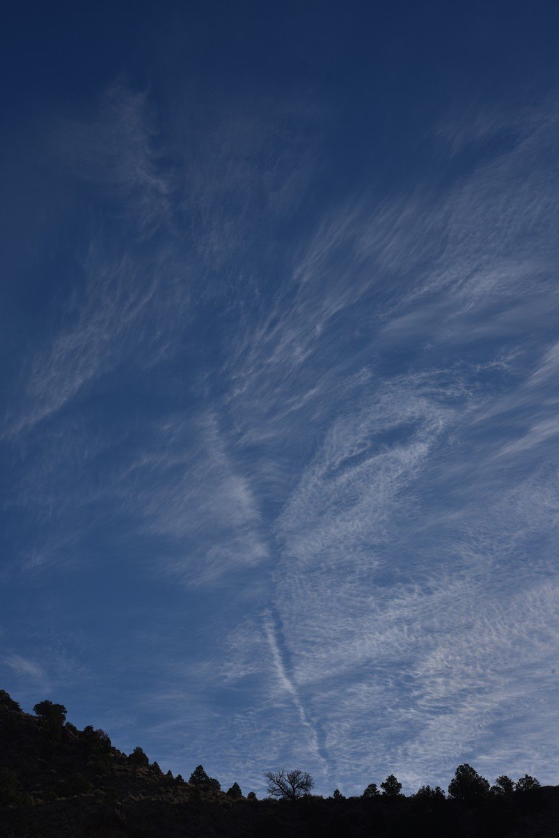 dsc_2545_fs.jpg