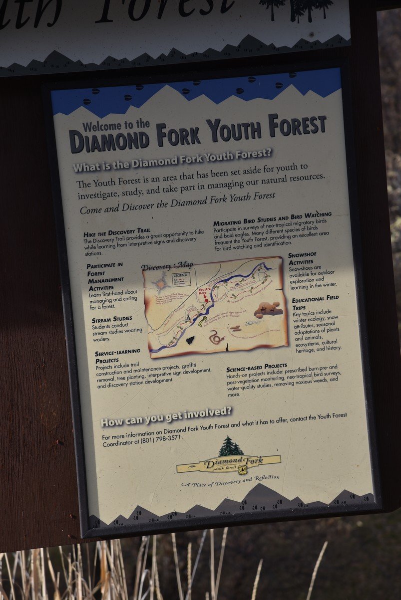 dsc_2558_fs.jpg
