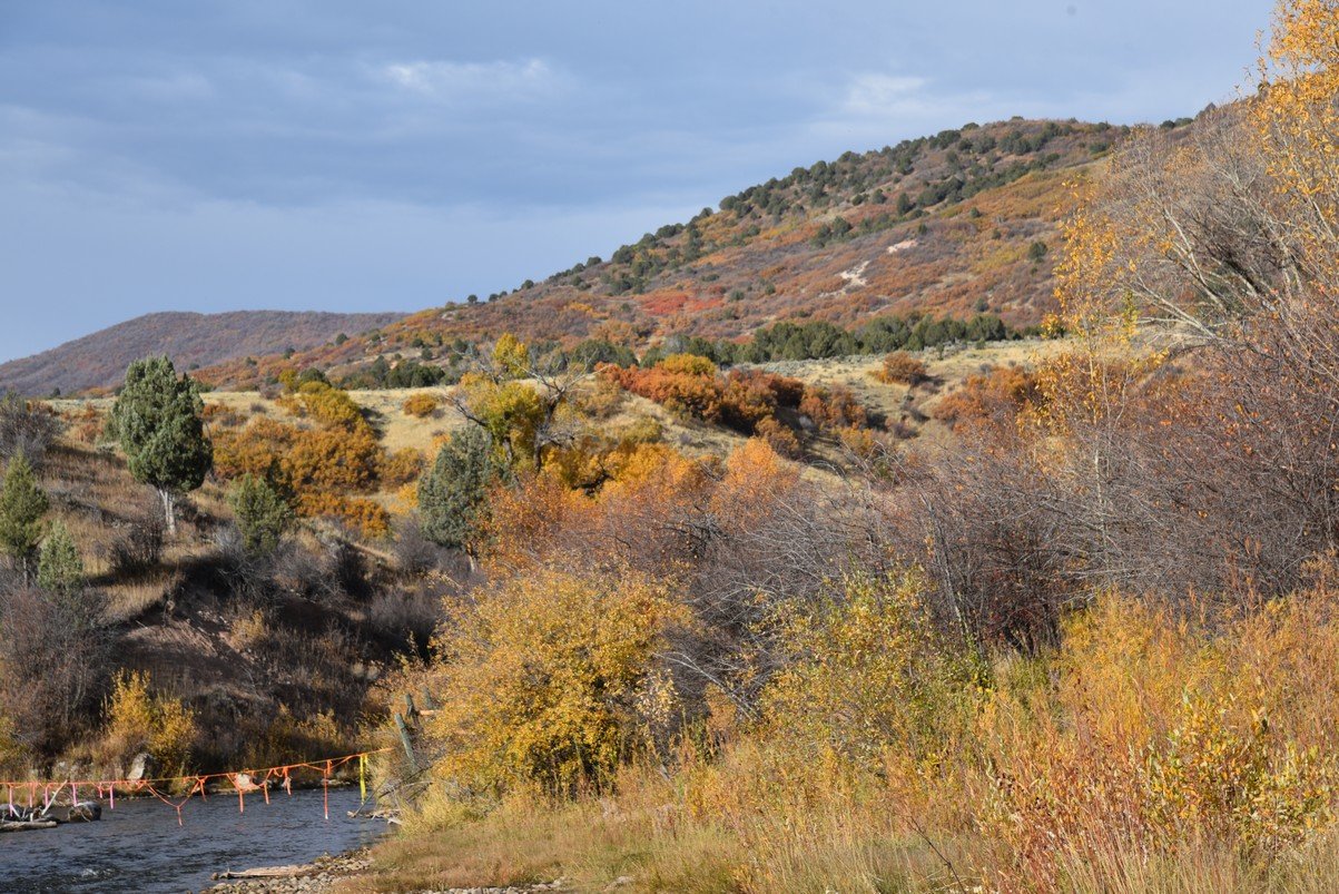 dsc_2566_fs.jpg