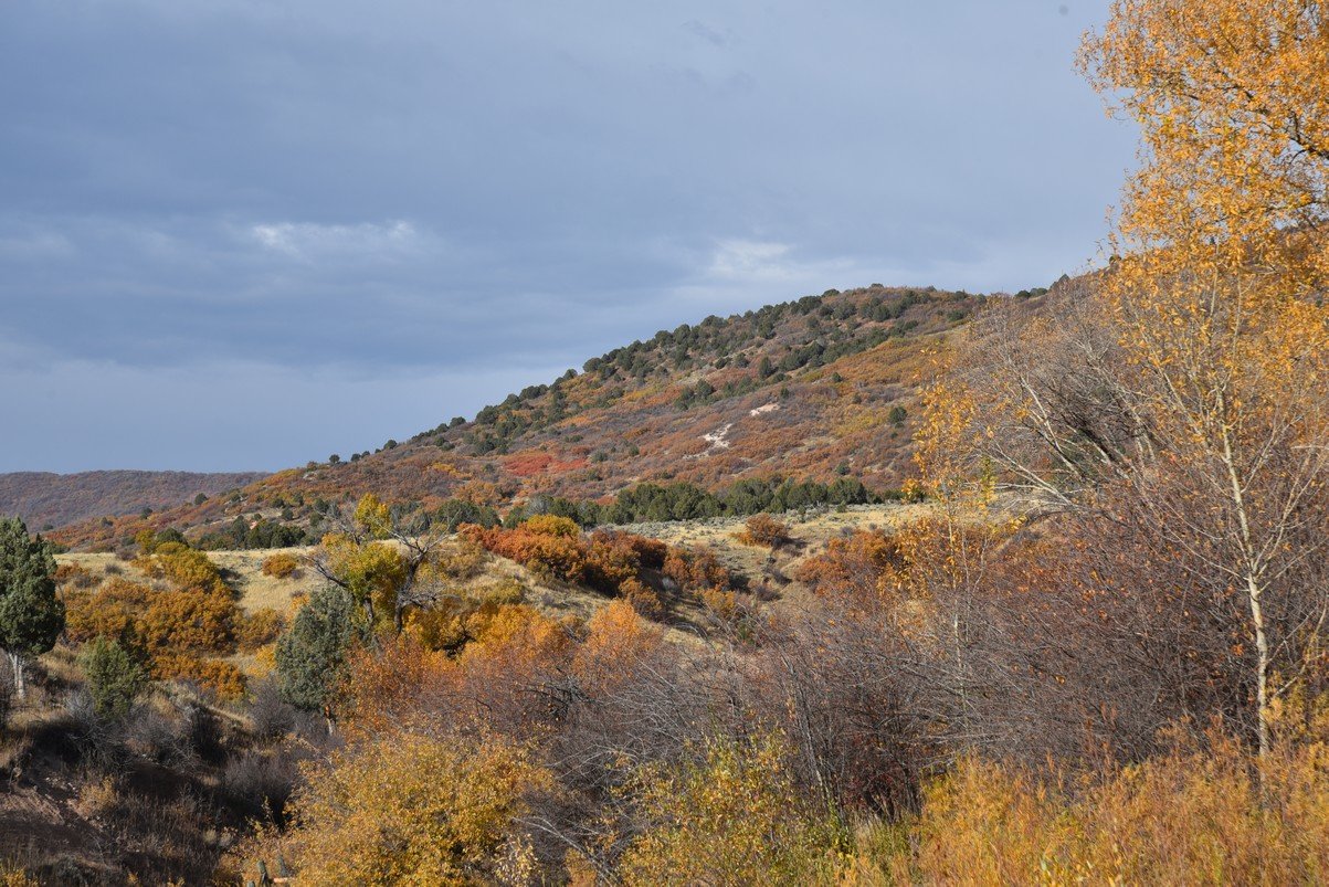 dsc_2567_fs.jpg