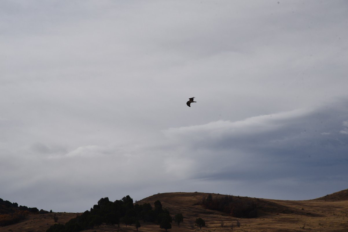 dsc_2597_fs.jpg