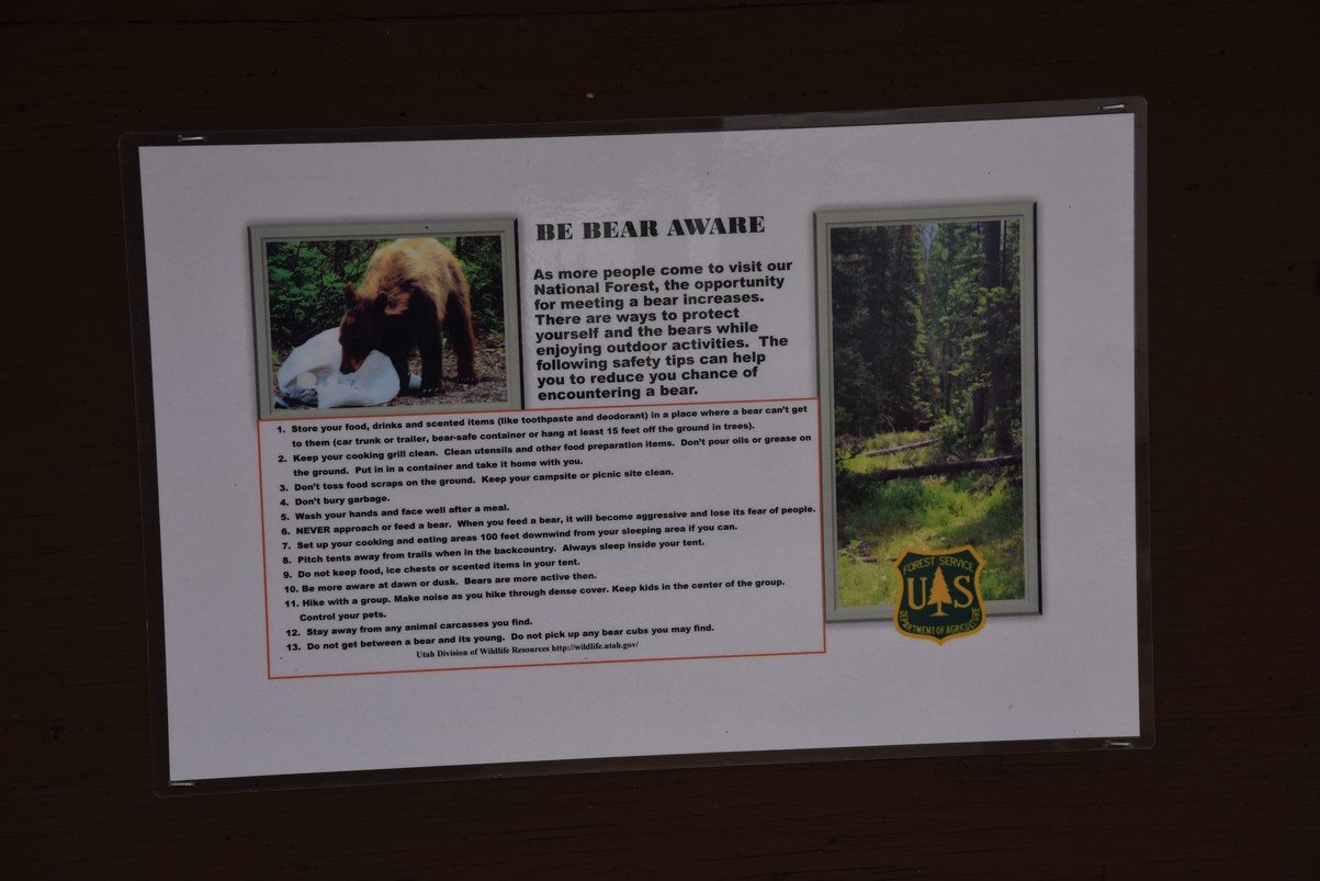 dsc_2661_fs.jpg