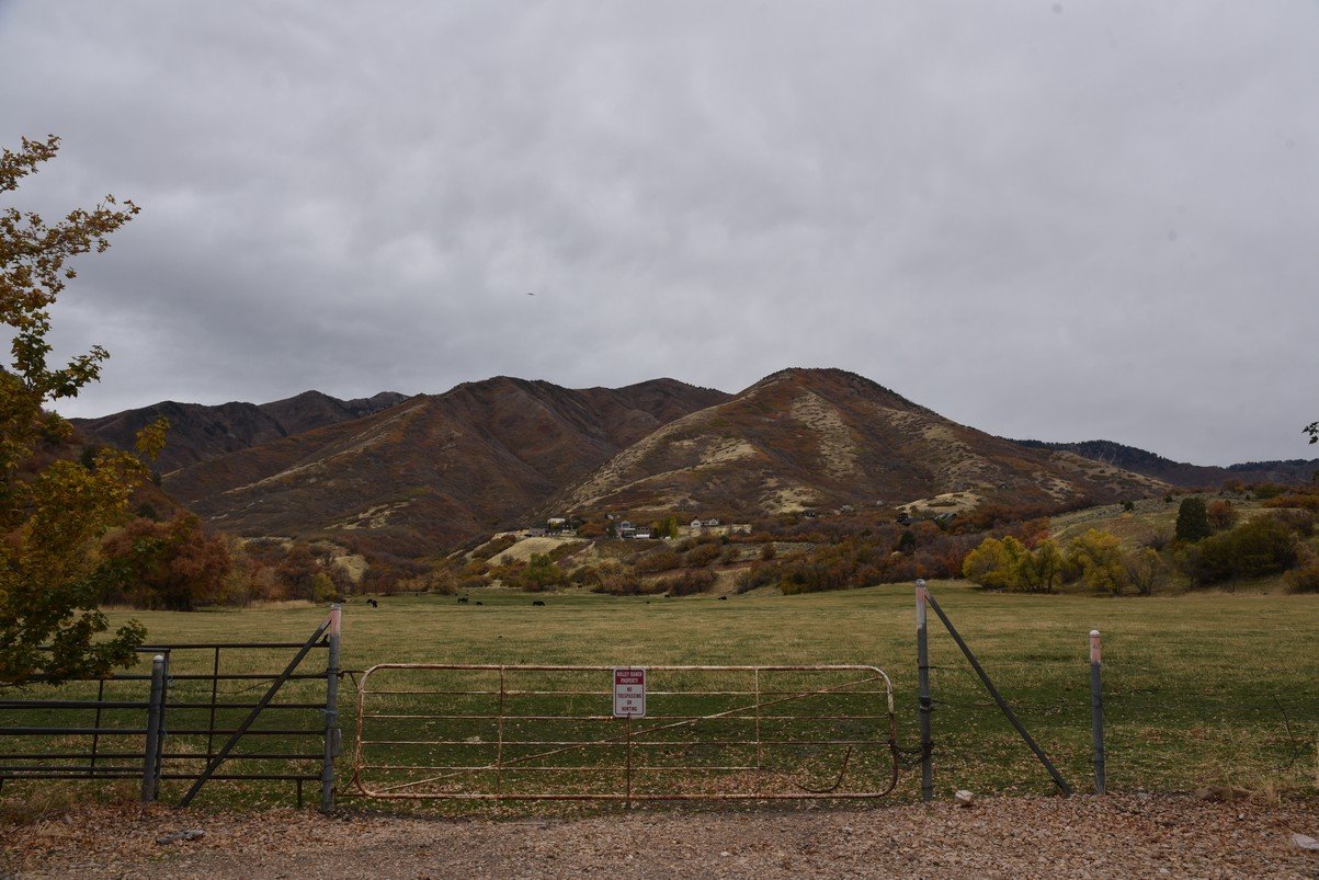 dsc_2700_fs.jpg