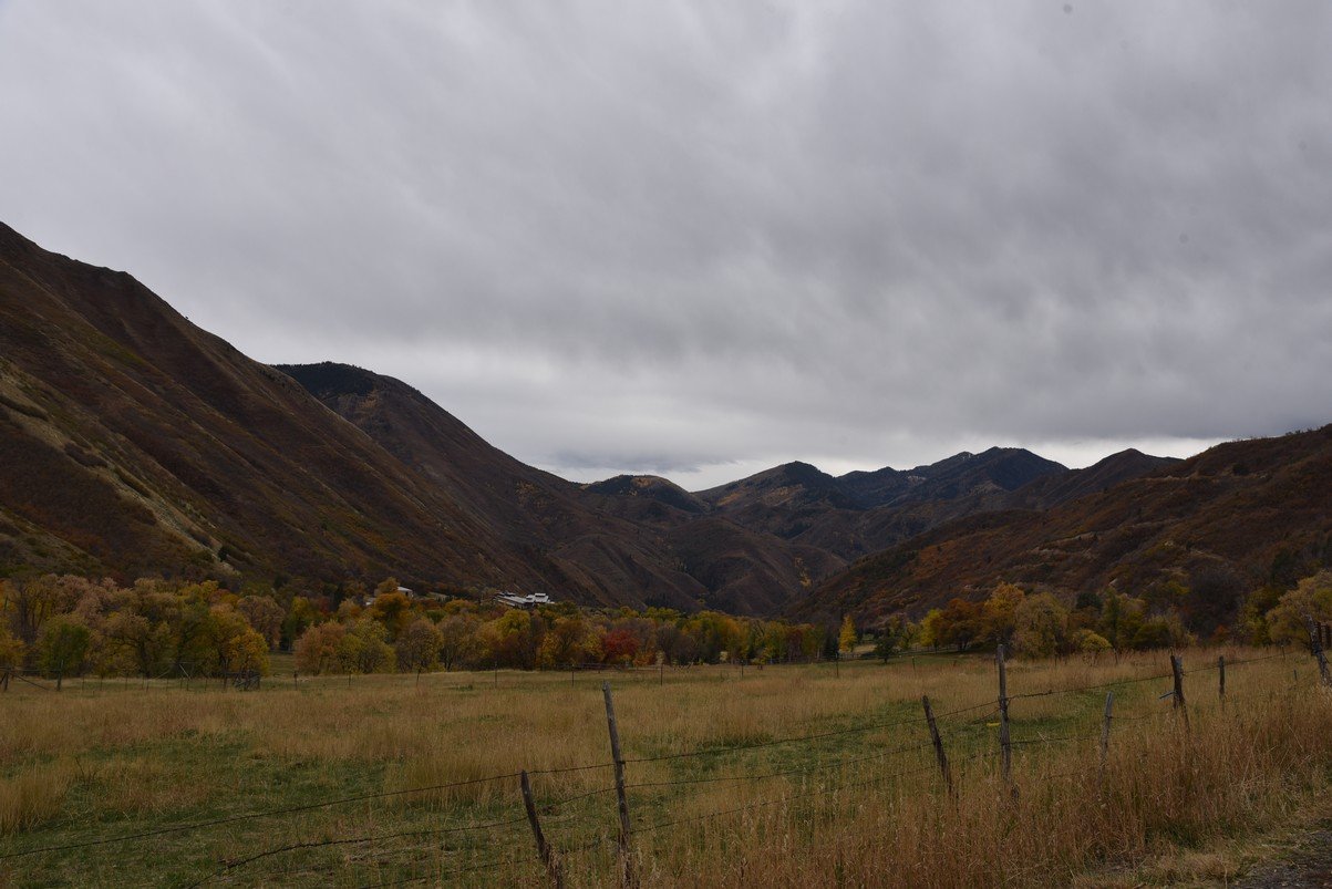 dsc_2704_fs.jpg