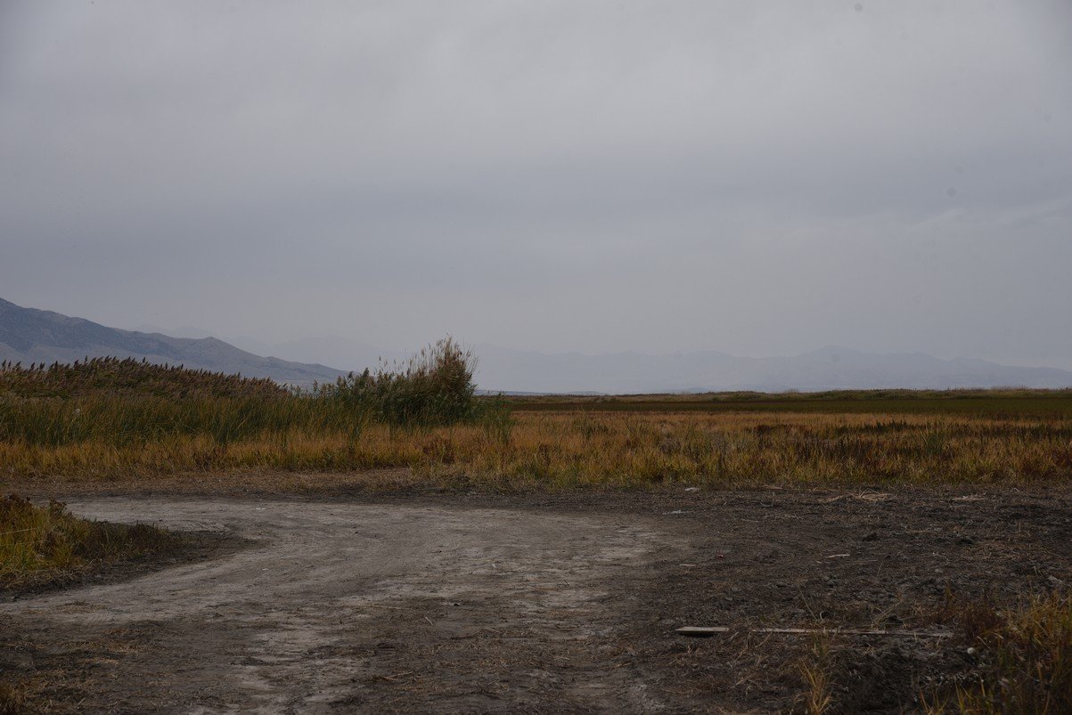 dsc_2710_fs.jpg