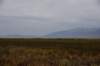 dsc_2712_fs_small.jpg