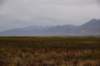 dsc_2713_fs_small.jpg