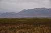 dsc_2714_fs_small.jpg