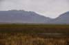 dsc_2715_fs_small.jpg