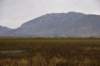 dsc_2716_fs_small.jpg