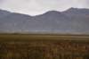 dsc_2717_fs_small.jpg
