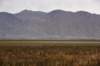 dsc_2718_fs_small.jpg