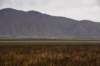 dsc_2719_fs_small.jpg