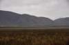 dsc_2720_fs_small.jpg