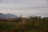 dsc_2727_fs_small.jpg