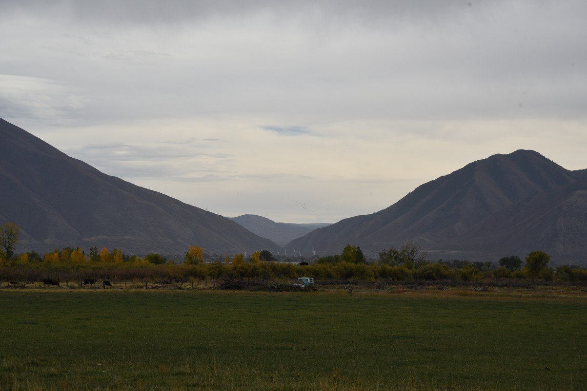 dsc_2730_fs.jpg