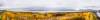 dsc_2745_fs_61_affopatone_small.jpg