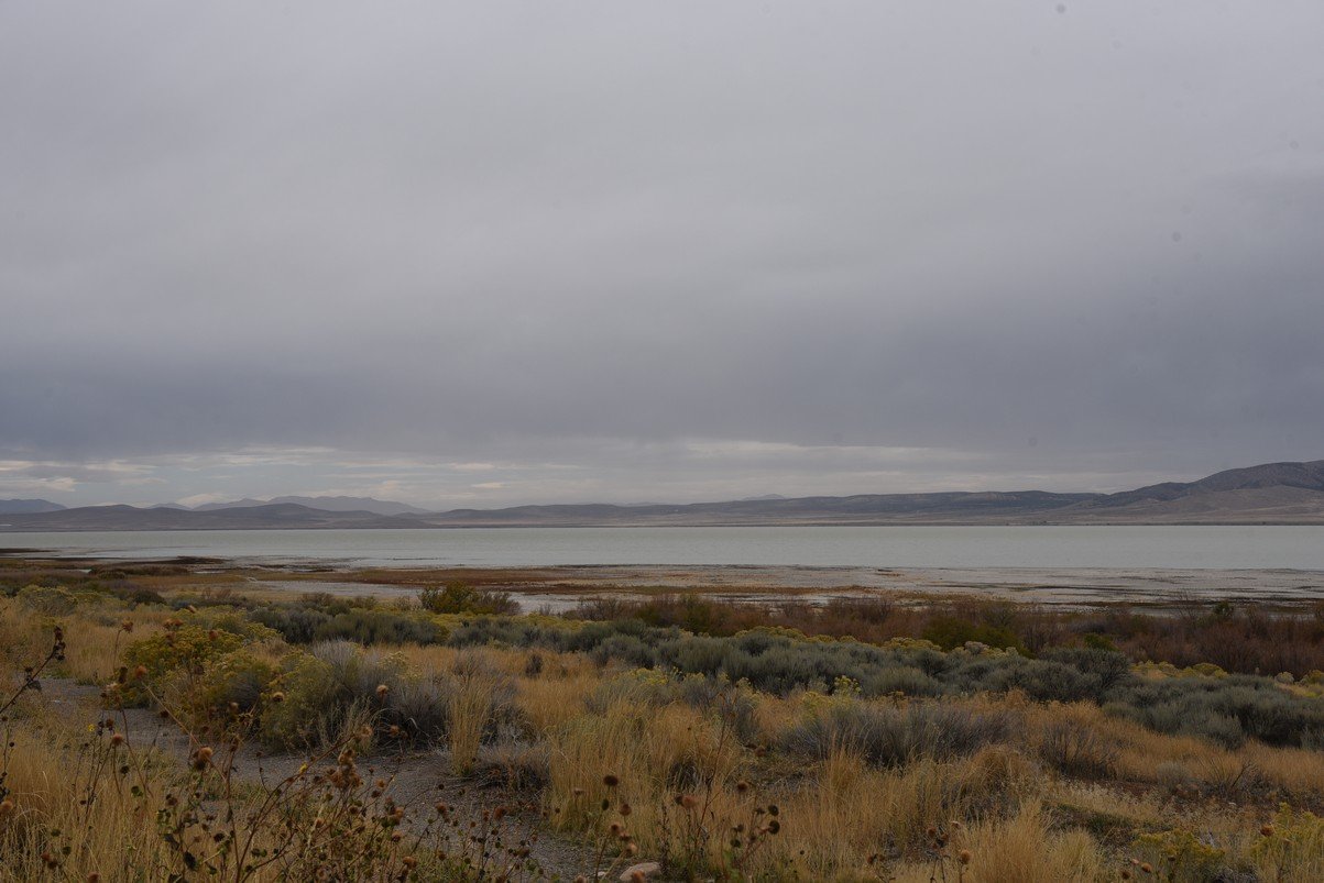 dsc_2746_fs.jpg