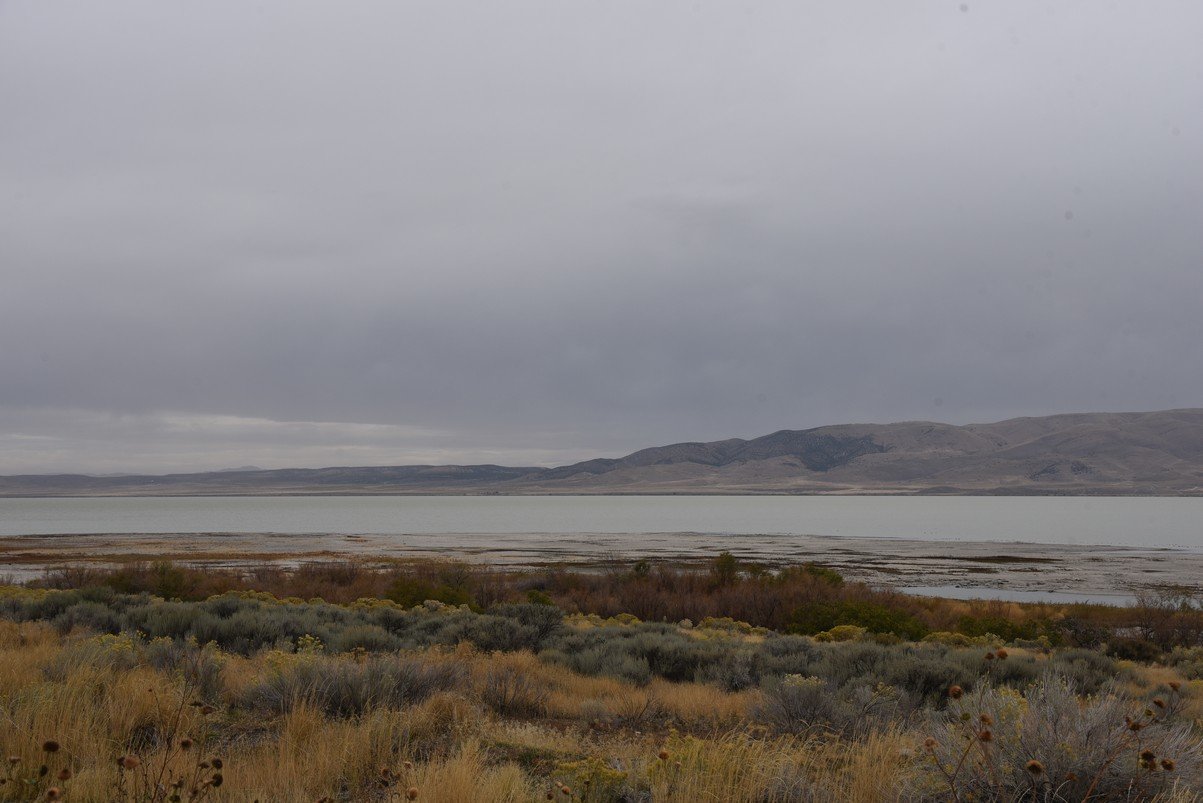dsc_2747_fs.jpg