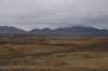 dsc_2790_fs_small.jpg