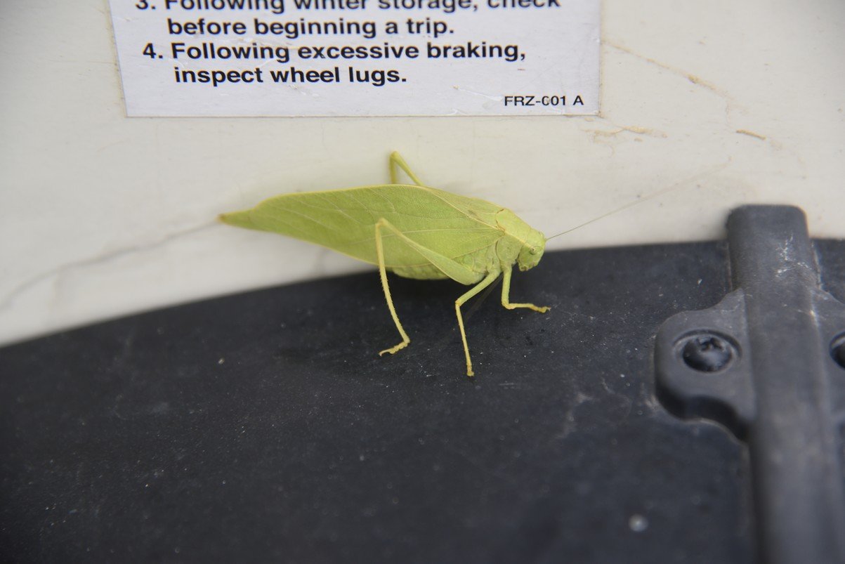 dsc_2795_fs.jpg