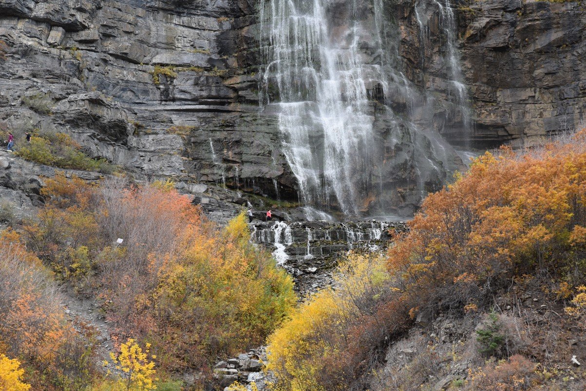 dsc_2826_fs.jpg
