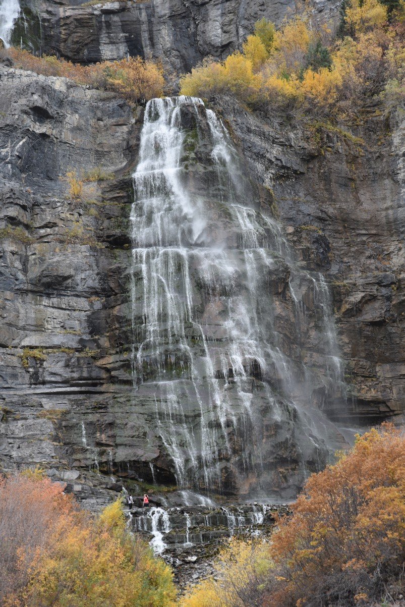 dsc_2827_fs.jpg