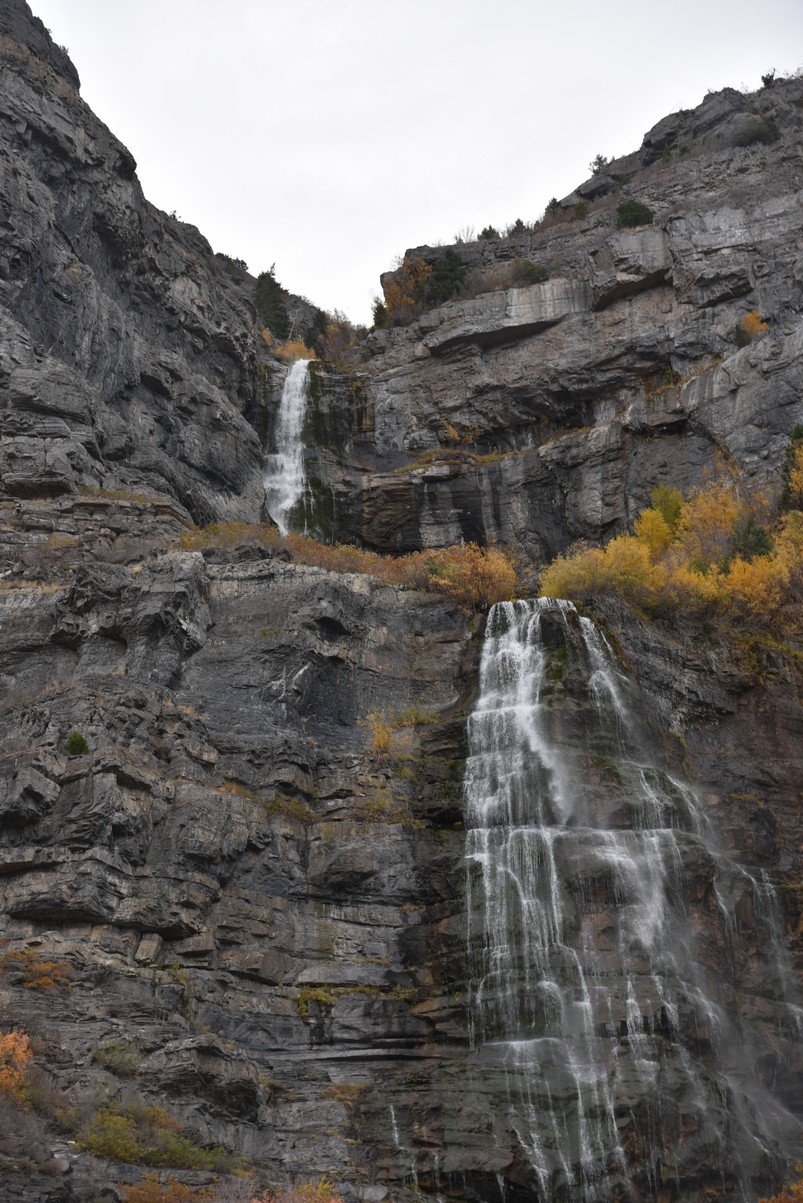 dsc_2828_fs.jpg
