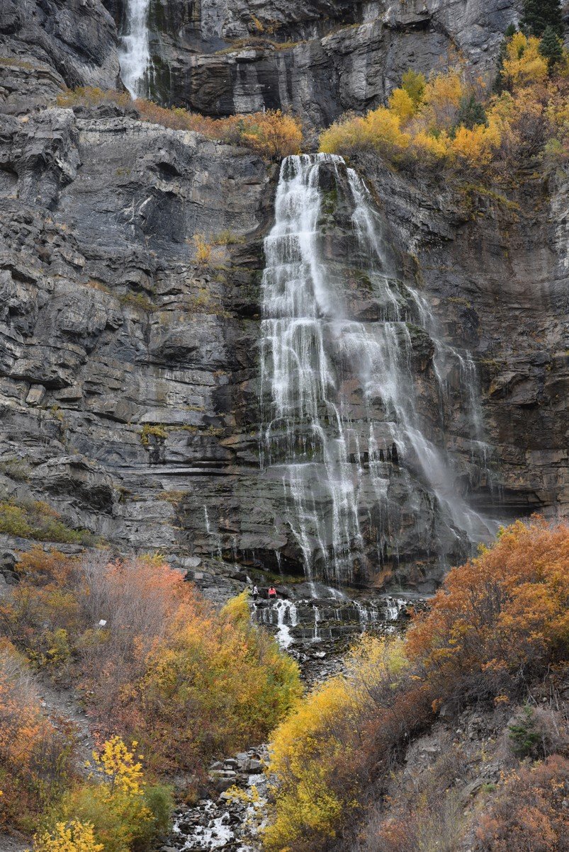 dsc_2829_fs.jpg