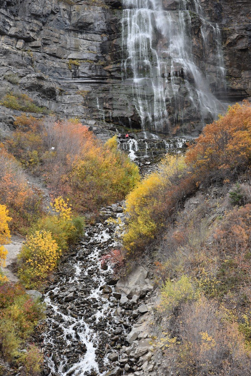 dsc_2830_fs.jpg