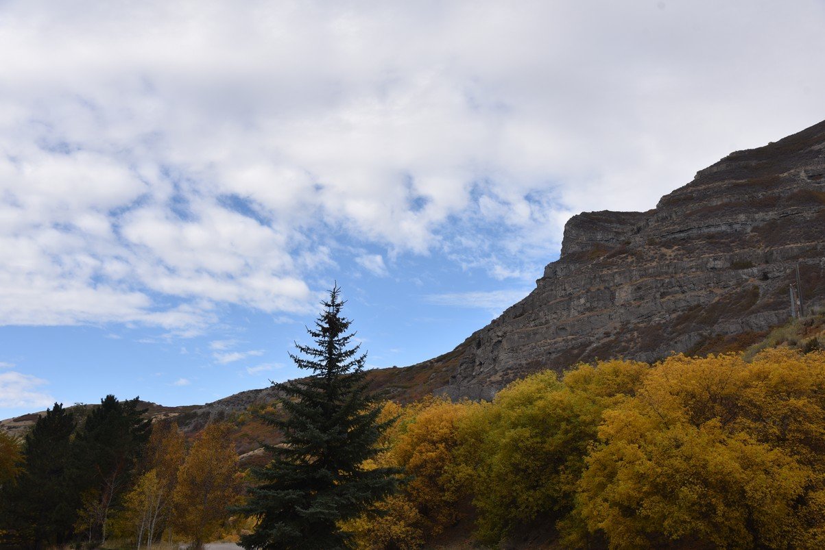 dsc_2834_fs.jpg