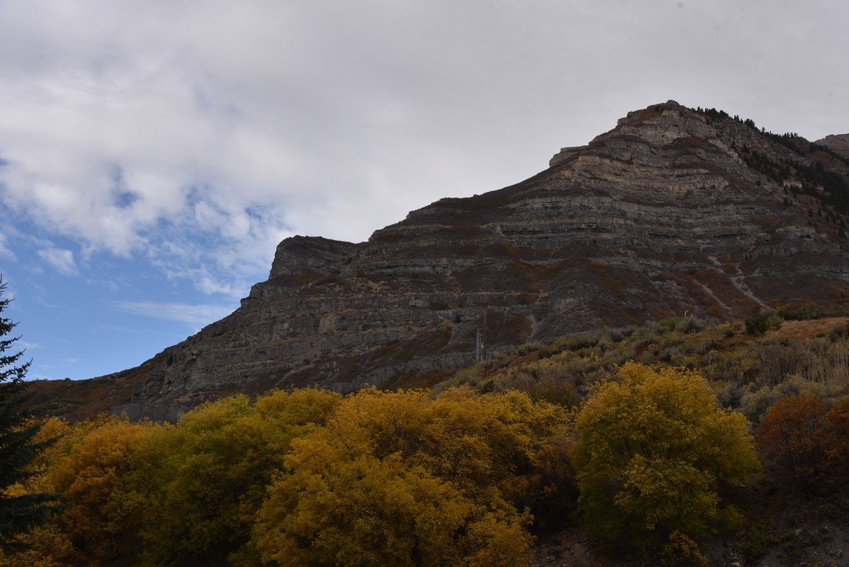 dsc_2835_fs.jpg