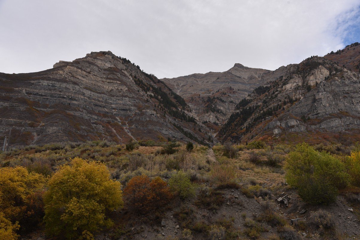 dsc_2836_fs.jpg