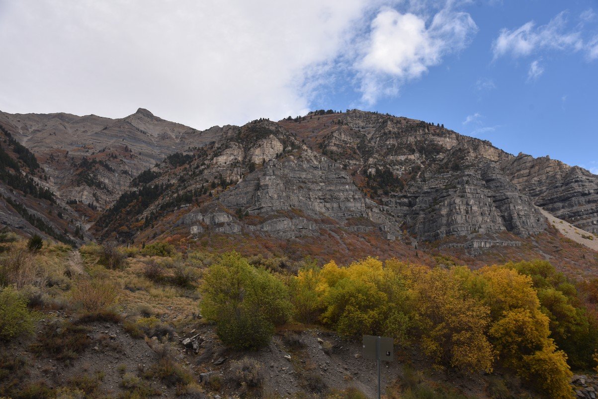 dsc_2837_fs.jpg