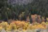 dsc_2847_fs_small.jpg