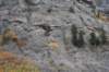 dsc_2849_fs_small.jpg