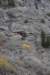 dsc_2850_fs_small.jpg