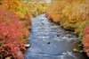 dsc_2857enhanceplus_fs_small.jpg