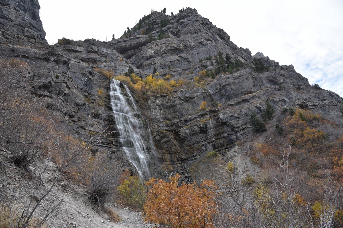 dsc_2862_fs.jpg